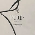 planterior_pullip 프로필 사진
