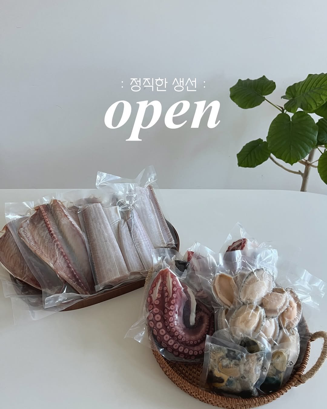 Photo by 메종나나 l jihye jeong on May 29, 2025.