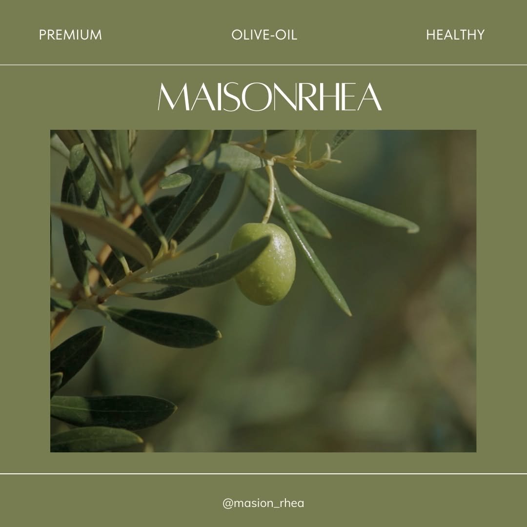 maison_rhea 게시물 이미지: What's Olive-Oil?
매년 10월말부터 수확이 시작되는
가장 신선한 그린...