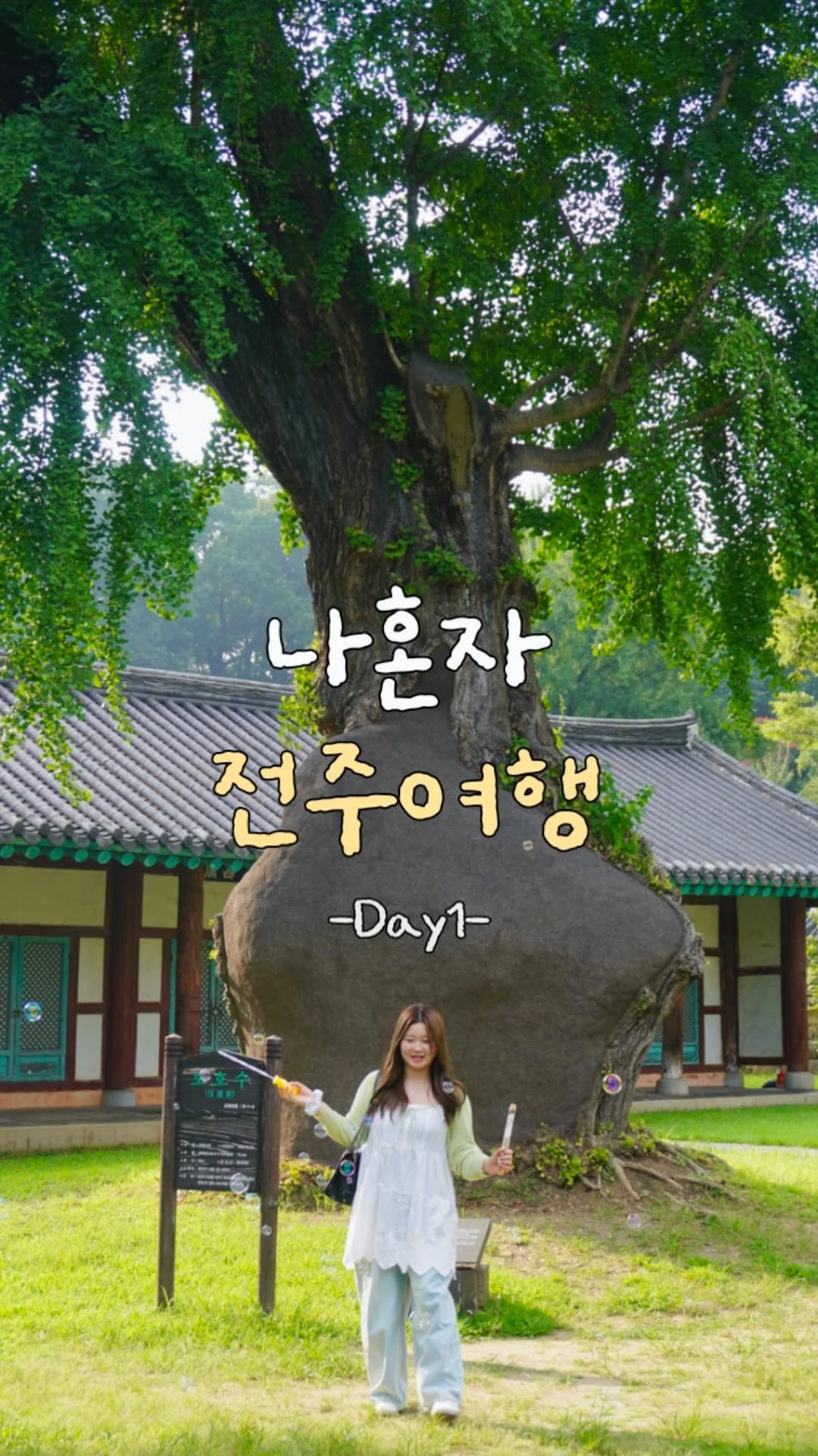 maisonde_onu 게시물 이미지: (저장•공유)

혼자라서 더 좋았던 전주 여행 
전주 가면 이렇게 돌면...