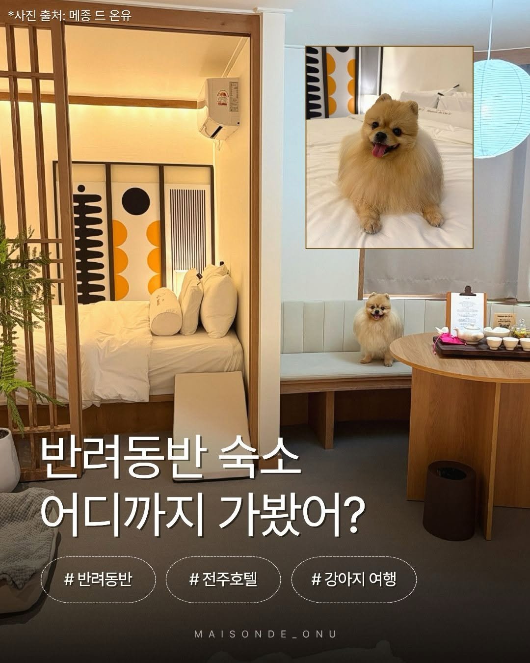 Photo shared by 메종 드 온유 호텔 | 광주호텔 • 전주호텔 • 전주숙소 on March 07, 2026 tagging @taste.jeonju, @pet_allowed_korea, @jeonju.wwtg, and @thejeonju. May be an image of Norwich terrier, Pekinese and text that says '*사진 출처: 메종 진출처:메종드온유 드 드 온유 2 C 도구요 BCk 고래 반려동반 숙소 어디까지 가봤어? #반려동반 전주호텔 강아지 #강아지여행 여행 MAISONDE_ONU MAISONDE'.