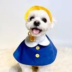 starmong_official 프로필 사진