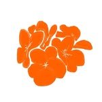 orangeeebird 프로필 사진