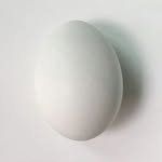 nob1ecraft 프로필 사진