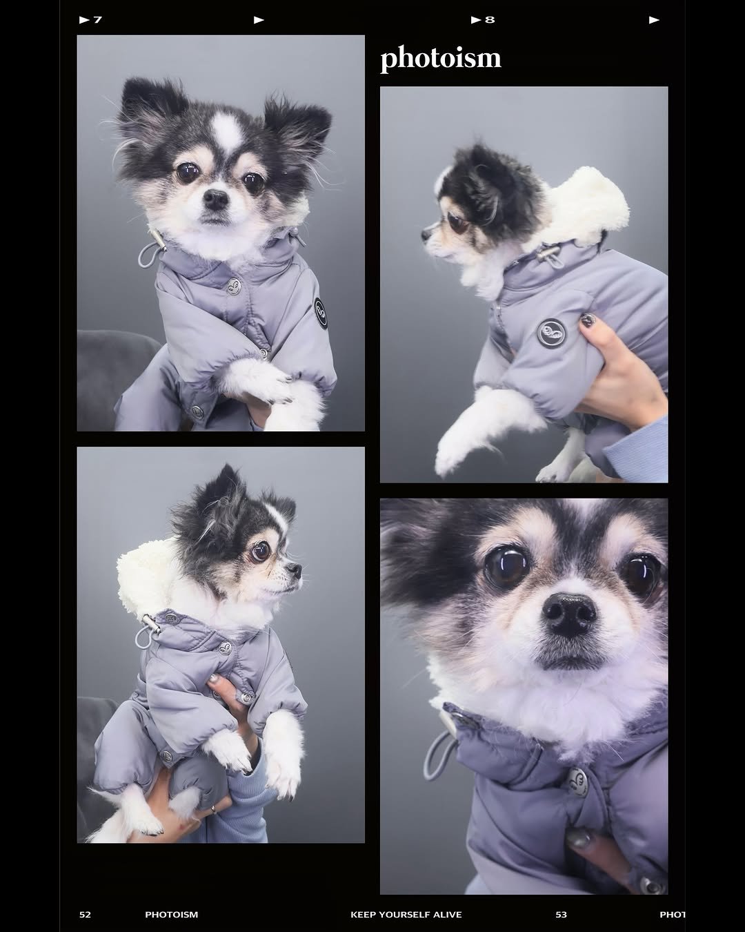 Photo by 🥇뷰티계의 트랜드세터 #상은언니 on February 13, 2026. May be an image of chihuahua, duffle coat, snowsuit, raincoat, fur, parka and text that says '8 photoism 52 PHOTO PHOTOISM KEEP YOURSE KIPYOURSELFALIVE LIVE PHO1'.