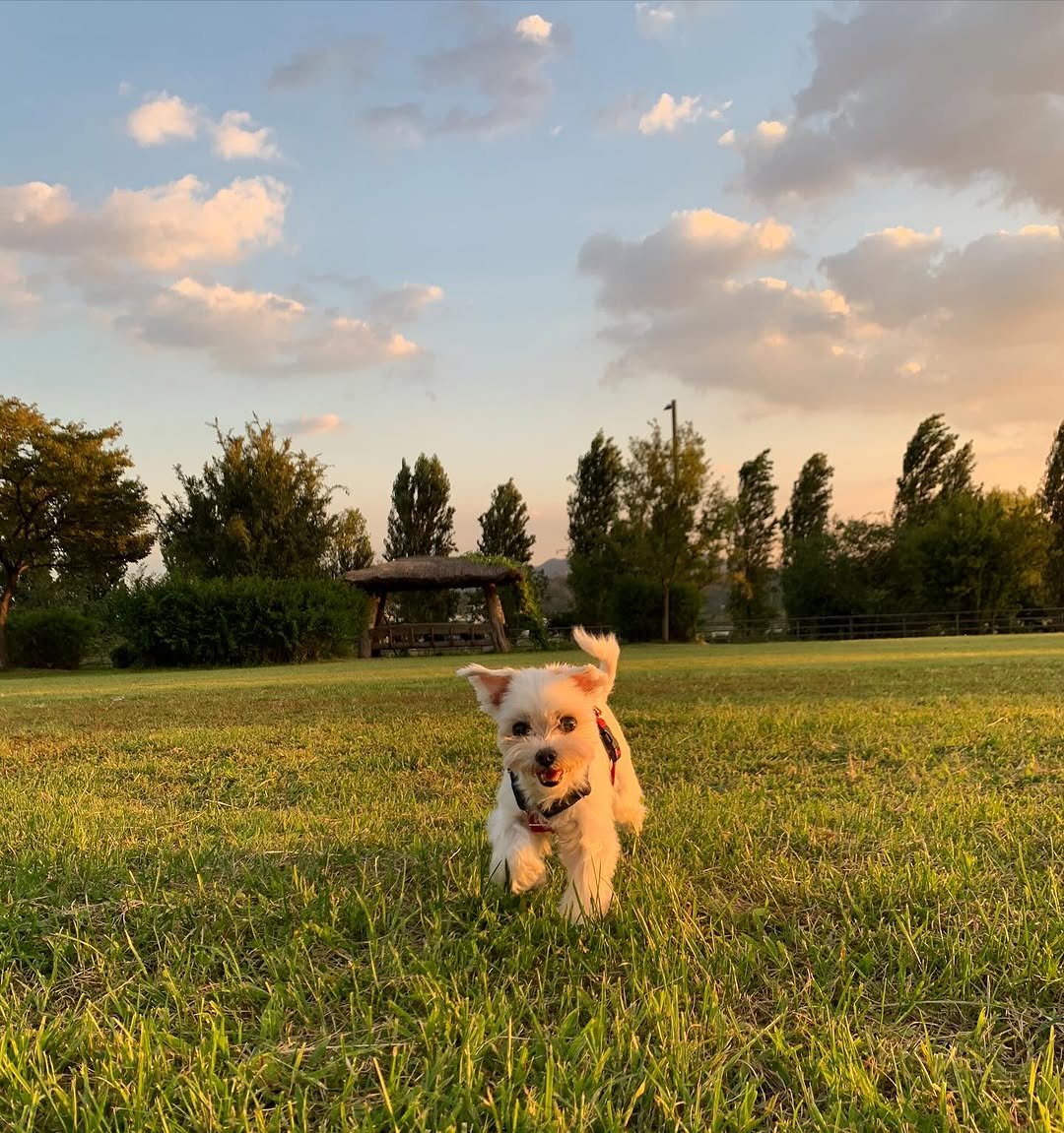 Photo by 🥇뷰티계의 트랜드세터 #상은언니 on December 17, 2023.