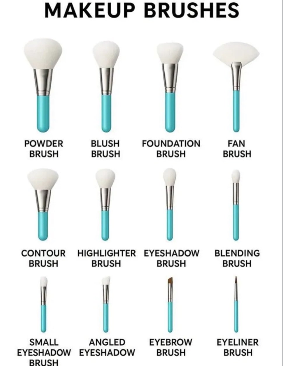 Photo by Makeup on February 19, 2026. May be an image of one or more people, makeup, pallette, cosmetics, brush and text that says 'BRUSHES POWDER BRUSH BLUSH BRUSH FOUNDATION BRUSH FAN BRUSH CONTOUR BRUSH HIGHLIGHTER BRUSH EYESHADOW BRUSH BLENDING BRUSH SMALL EYESHADOW BRUSH ANGLED EYESHADOW EYEBROW BRUSH EYELINER BRUSH'.