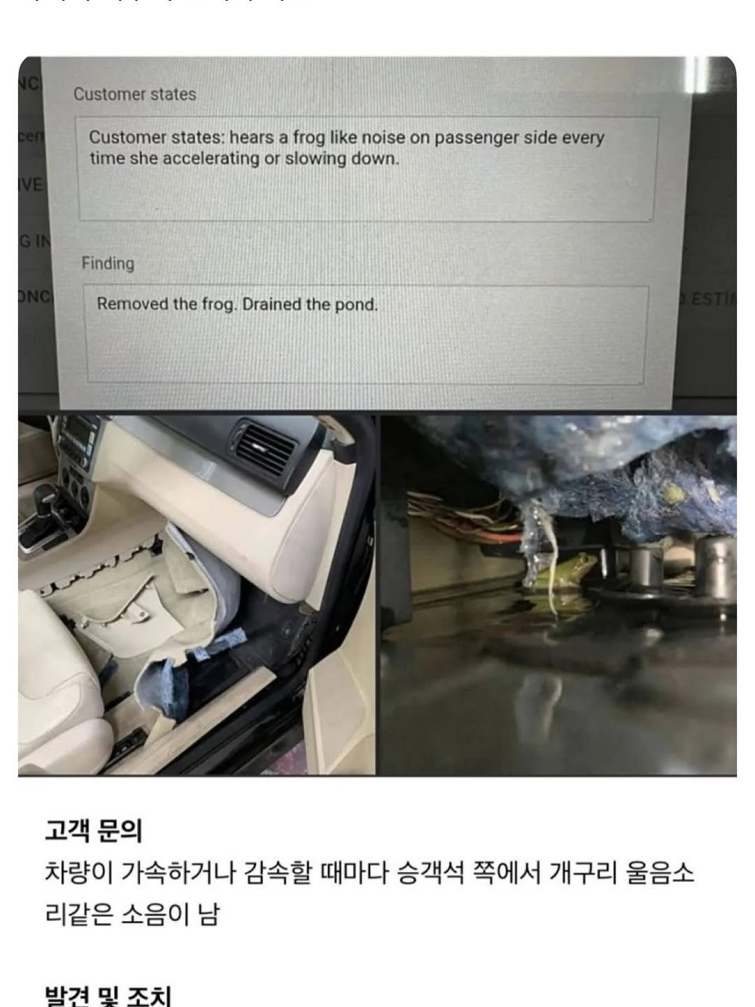 Photo by MAM • Meme And Me on January 13, 2026. May be an image of printer, thermostat and text that says 'Customer states Customer states: hears a frog like noise on passenger side every time she accelerating or slowing down. Finding Removed the frog. Drained the pond. 고객 문의 차량이 가속하거나 감속할 때마다 승객석 쪽에서 개구리 울음소 리같은 소음이 남 발견ㅁ조치 박겨 믿 주치'.