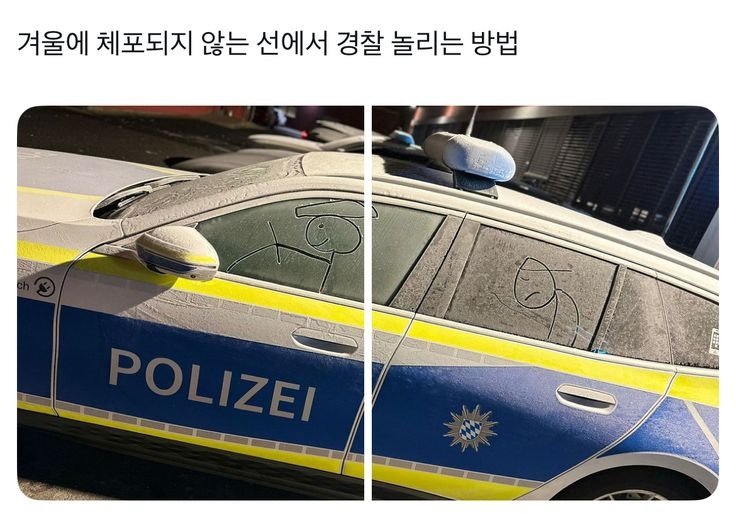 Photo by MAM • Meme And Me on January 12, 2026. May be an image of text that says '겨울에 체포되지 않는 선에서 경찰 놀리는 방법 POLIZEI IZEI'.