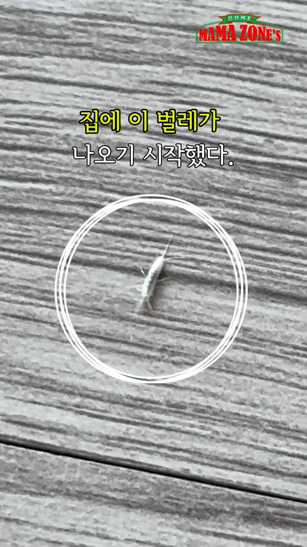 mama_zones 게시물 이미지: 🔺이 벌레 미치겠어요

✅덥고 습하니 좀 이 보이기
시작했는데.. 징그러워...