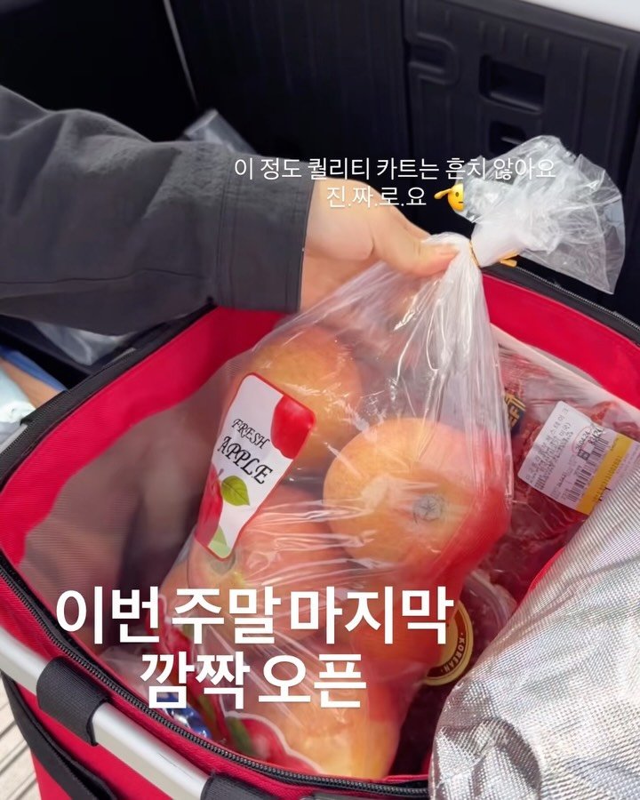 mang9mee 게시물 이미지: 캐리 크루저 & 쿨러백
이번 주말 깜짝 오픈 안내

지겨우시죠..? 캐리 크루저...