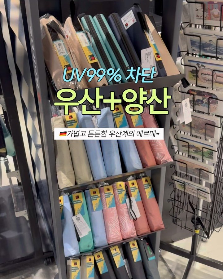 mang9mee 게시물 이미지: 혹시 가볍고 튼튼한 양우산 찾고 계신 분 있으세요?

저 우산, 양산 진짜...