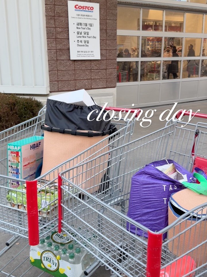 mang9mee 게시물 이미지: 명품 카트 캐리 크루저 오늘 밤 11:59까지 주문 가능✅

품절...