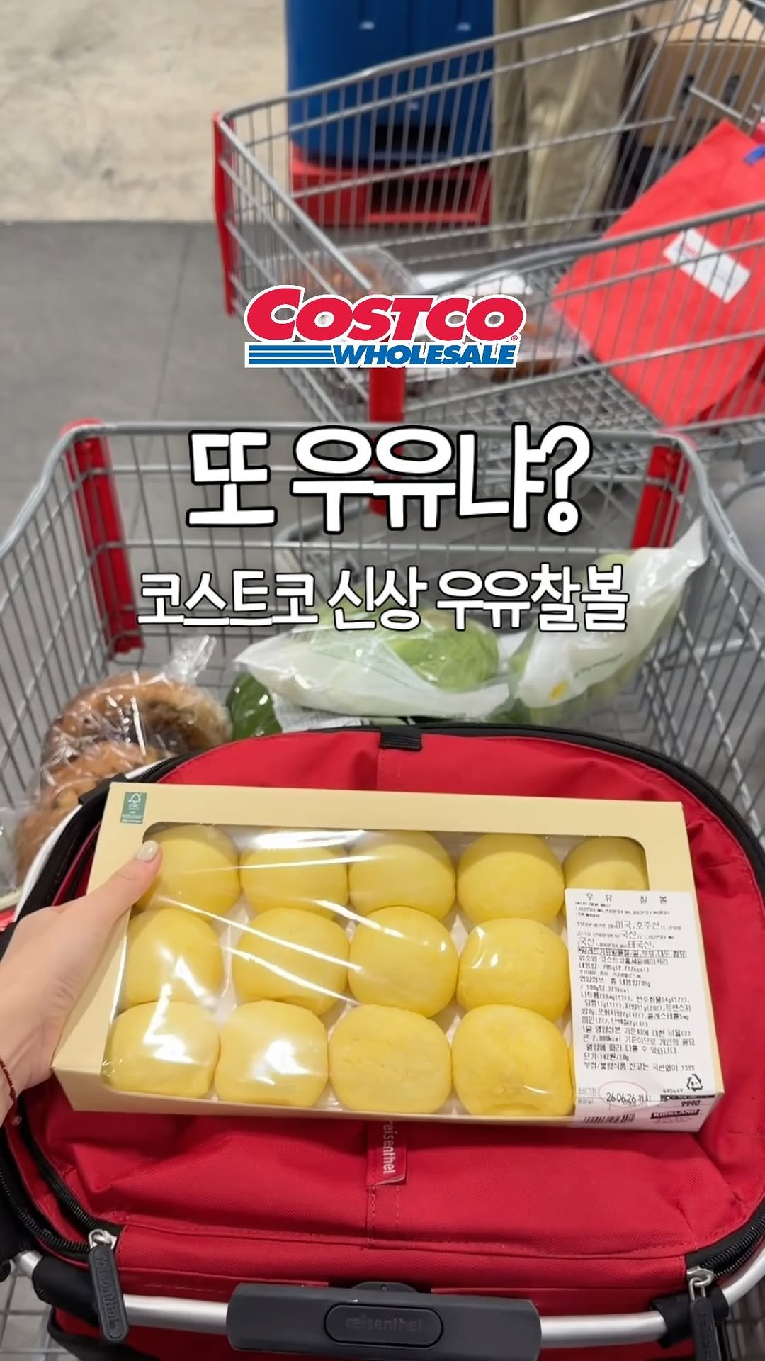 mang9mee 게시물 이미지: 대신 먹어보겠습니다
코스트코 신상 우유찰볼🥛!!

우유롤에 이은 대박 신상의...