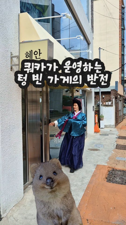 mangojerryy 게시물 이미지: 쿼카가 운영하는 닭칼국수집??

(부산 해운대구 우동1로38번가길 33 1층...