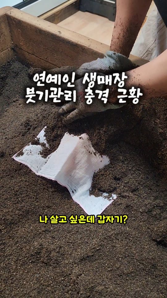 mangojerryy 게시물 이미지: 연예인 붓기 맛집 근황..

'자하생식 효소찜질'
주소: 서울 관악구 남부순환로...