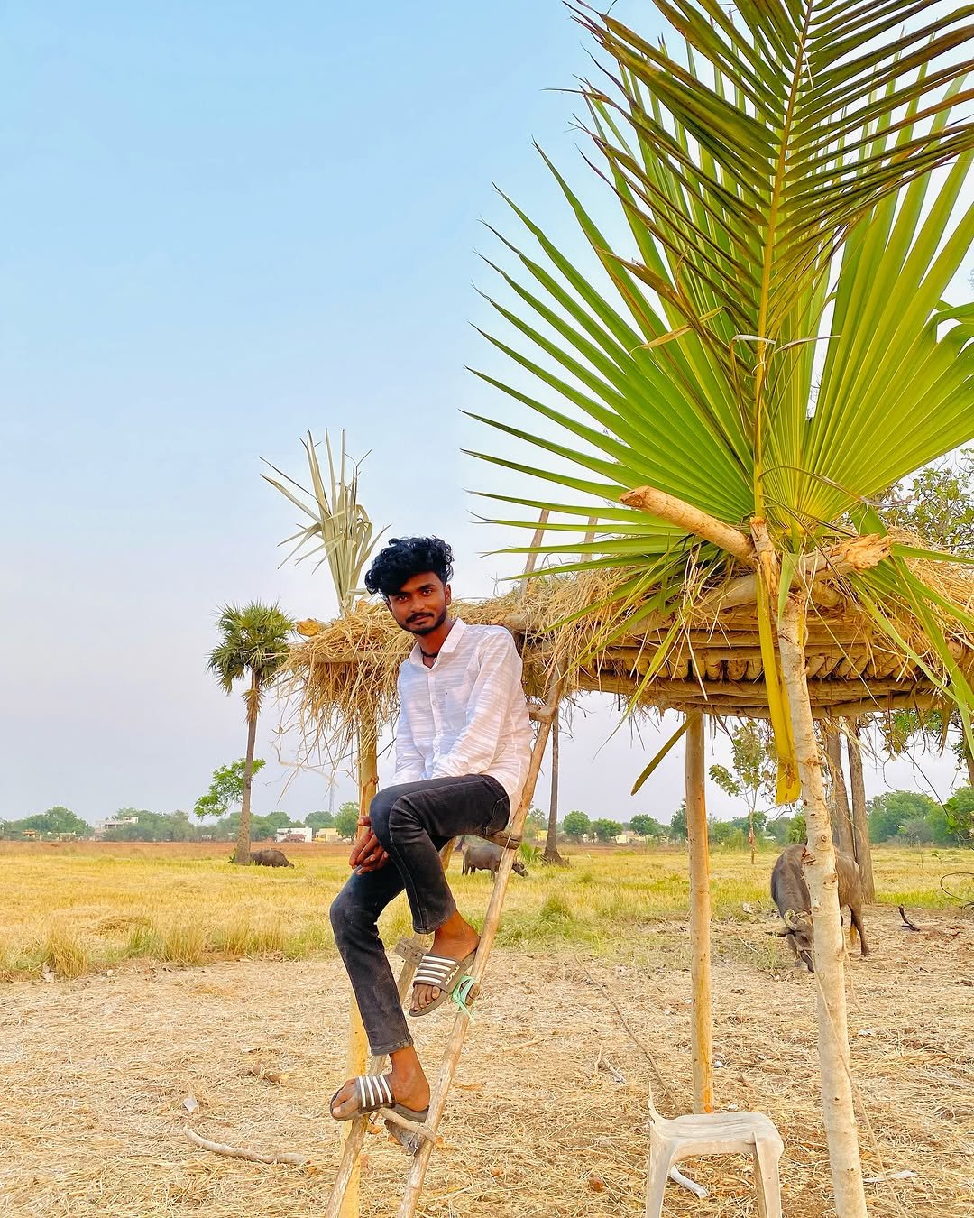 Photo by MANIKANTH FC on April 23, 2025. May be an image of 1 person, standing, plant, grass, park, picnic and text.