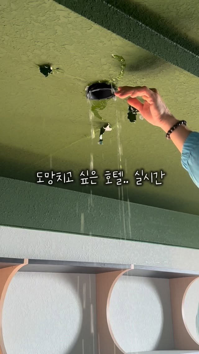 mansionbridge 게시물 이미지: 도망치고 싶은 호텔 실시간

남들은 감성 브이로그 찍을 때, 
저는 쌩 리얼 재난...