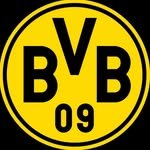 bvb09 프로필 사진