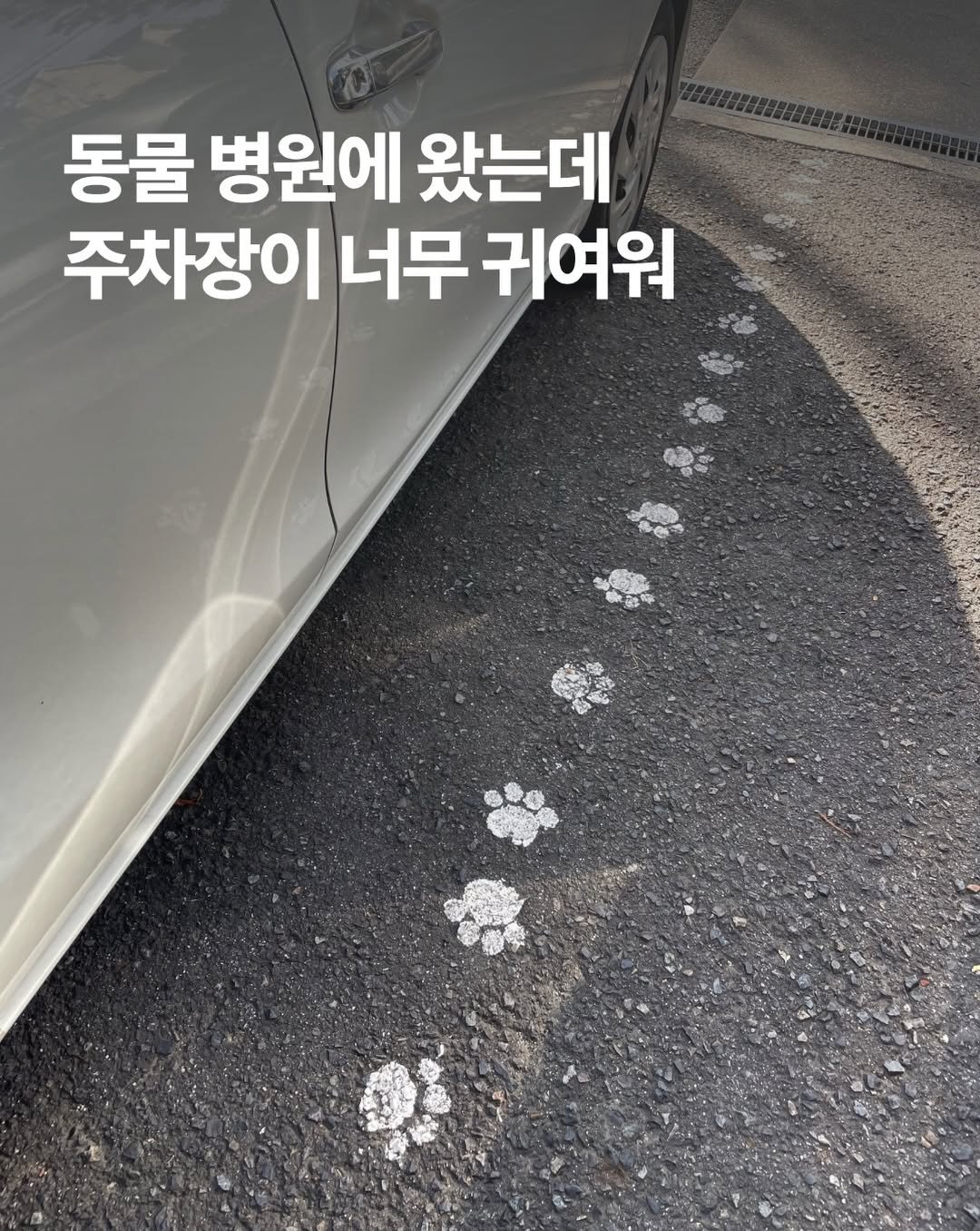 marketingfactory_ 게시물 이미지: 동물병원을 찾았는데 주차장이 너무 귀여워요.

스레드의 한 유저가 단양에 위치한...