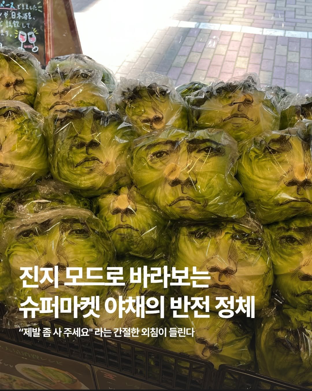 marketingfactory_ 게시물 이미지: 엄청나게 부담스러운 표정으로 간절한 눈빛을 보내는 사람...아니 양상추..

얼핏...