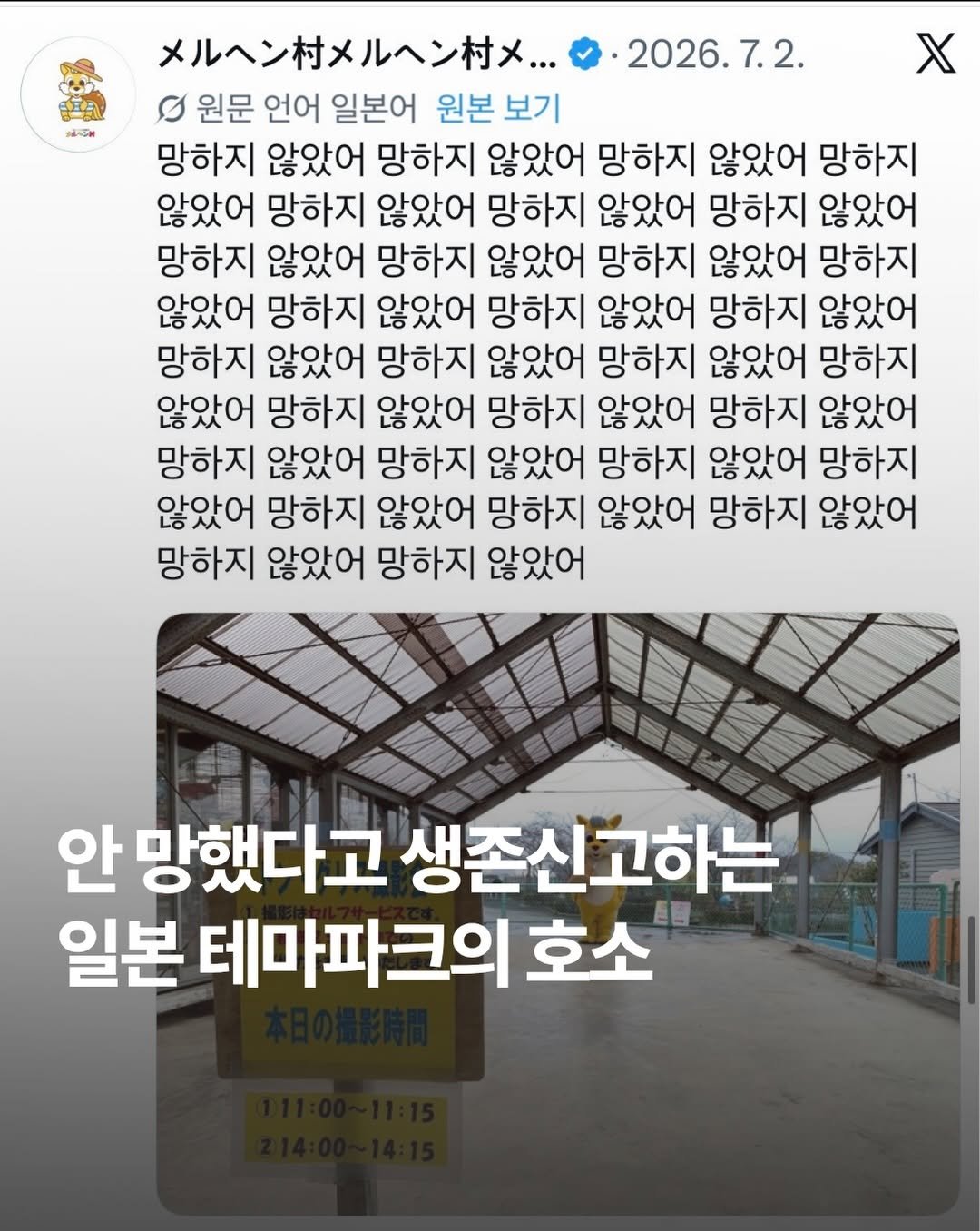 marketingfactory_ 게시물 이미지: ‘메르헨 무라(メルヘン村’)‘는 일본 규슈 사가현 다케오시에 위치한 ’숲과...
