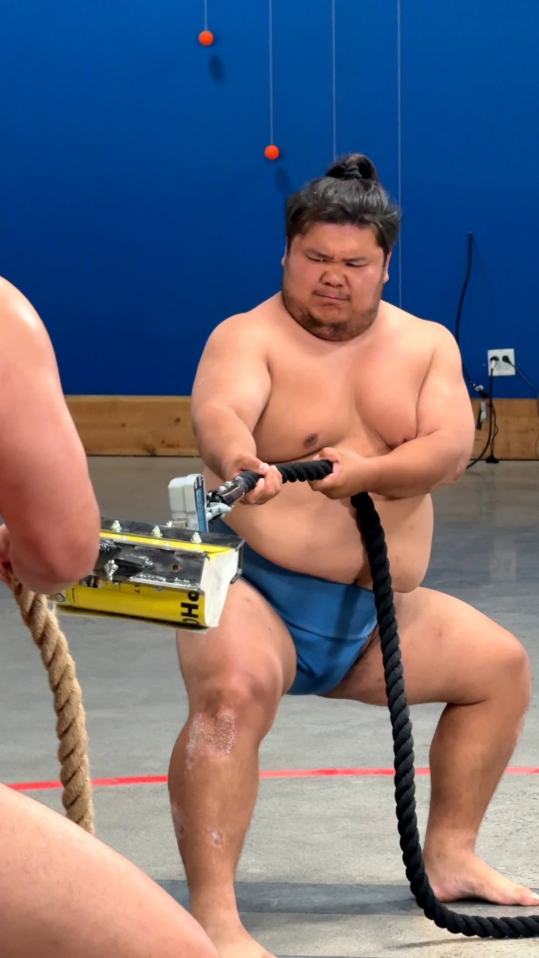markrober 게시물 이미지: Sumo Wrestlers vs Phone Books