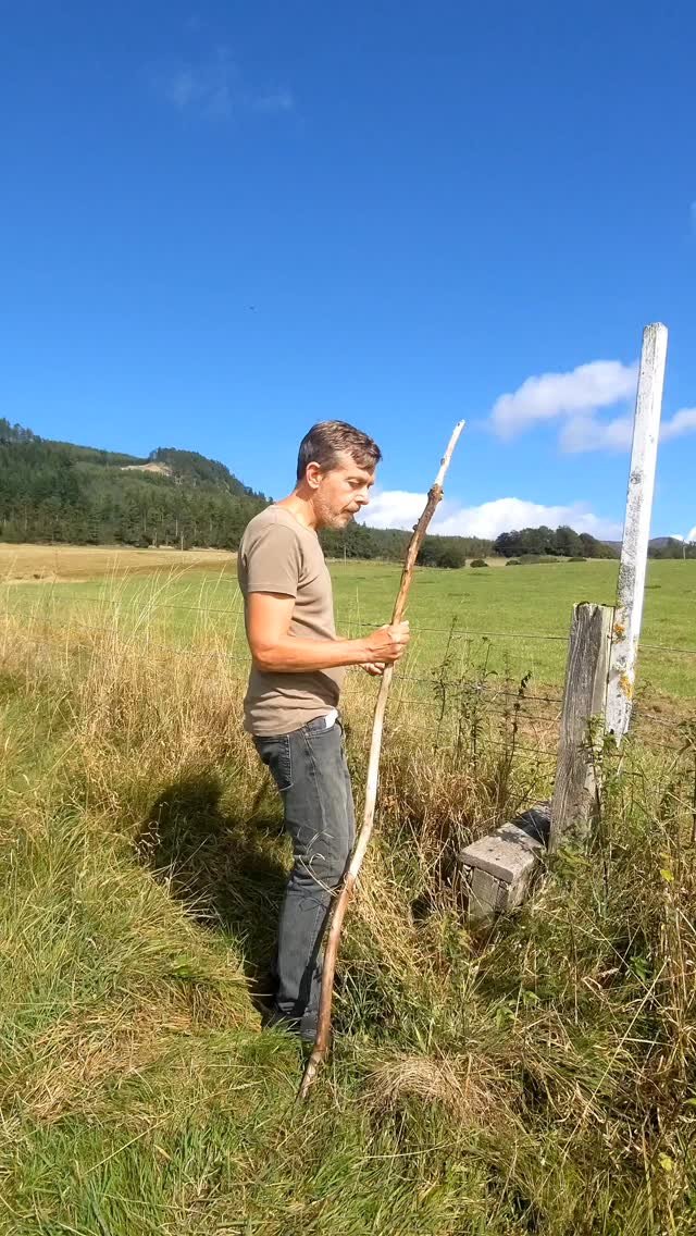 markxhogben 게시물 이미지: Balance bad 😔 Dad jokes good