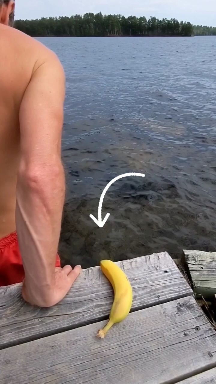 markxhogben 게시물 이미지: Cold tolerance training for cold therapy...