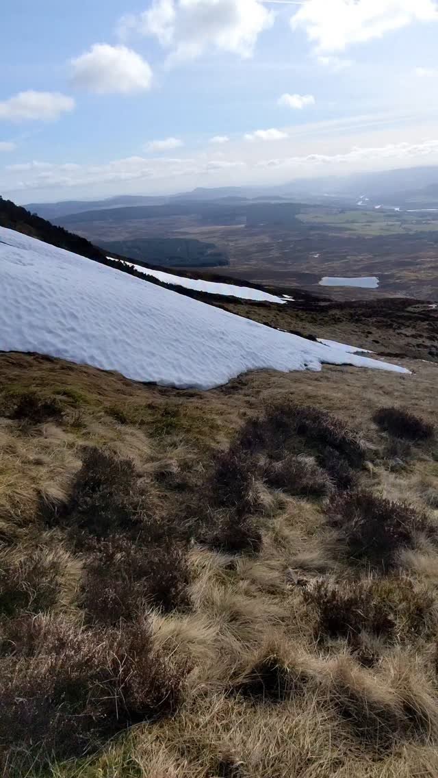 markxhogben 게시물 이미지: #benvrackie