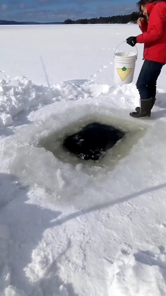 markxhogben 게시물 이미지: Time to get water 💦