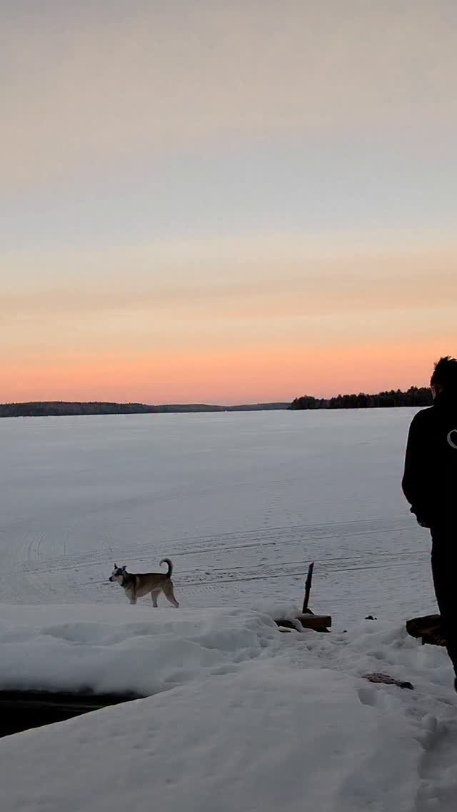 markxhogben 게시물 이미지: Proprioception
