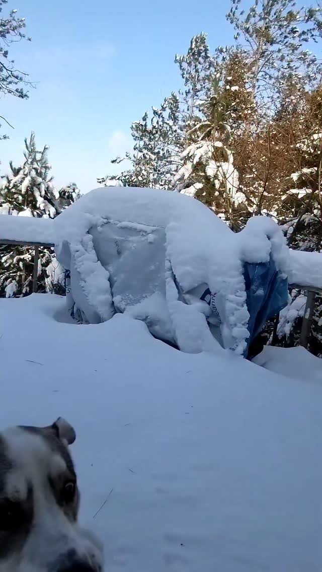 markxhogben 게시물 이미지: Enough snow for snowshoes