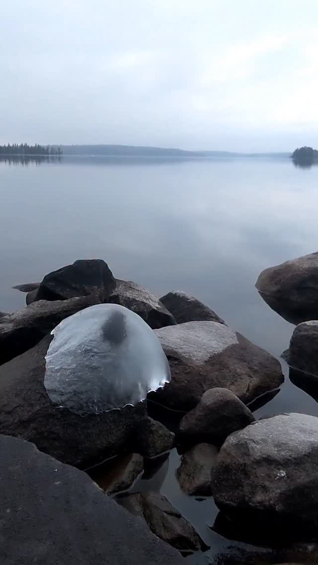 markxhogben 게시물 이미지: Enjoying social isolation