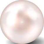 studio_flan_ 프로필 사진