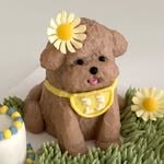 mong__marche 프로필 사진