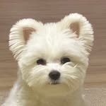 _sept.1 프로필 사진