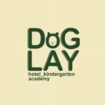 doglay_ 프로필 사진