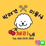 dogcuttingman 프로필 사진