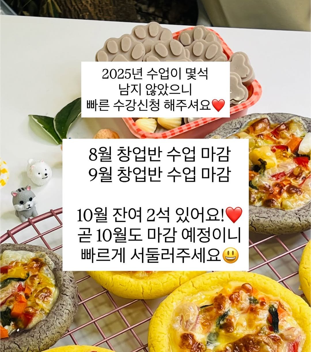 Photo by 애견수제간식/강아지수제간식/펫푸드/마롱가든 on September 03, 2025. May be an image of pie, bread and text that says 'σxOBBA 2025년 수업이 몇석 남지 않았으니 빠른 수강신청 해주셔요 8월 창업반 수업 마감 9월 창업반 수업 마감 10월 잔여 2석 있어요! 곧 10월도 마감 예정이니 빠르게 서둘러주세요 S'.