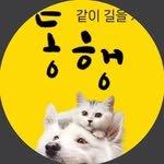 _dong.haeng 프로필 사진