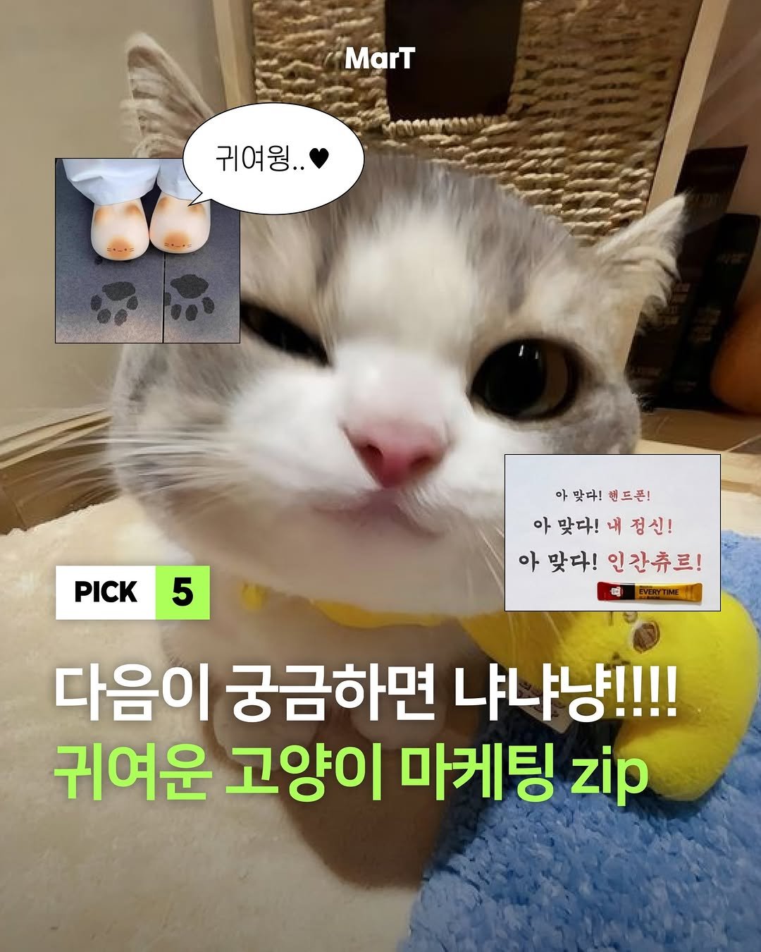 Photo by 마트 MarTㅣ마케팅 트렌드 매거진 on March 28, 2026. May be an image of animal and text that says 'MarT 귀여윙.. PICK 5 아맞다!랜드폰! 아 맞다! 핸드폰! 아맞다! 맞다! 아맞다!내정신! 내 정신! 아 맞다! 인간츄르! 다음이 궁금하면 냐냐냥!!!! 귀여운 고양이 마케팅 zip'.