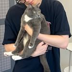 _yoondogun 프로필 사진