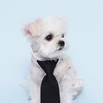 cloud.___.ie 프로필 사진