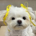 jerry_kim_23 프로필 사진