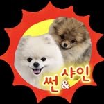 sun_shine_pom 프로필 사진