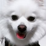 ws_mz 프로필 사진