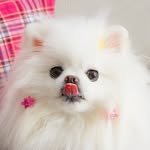 yugom_626 프로필 사진