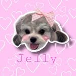 jellyy_mung 프로필 사진