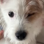 rong_i__ 프로필 사진